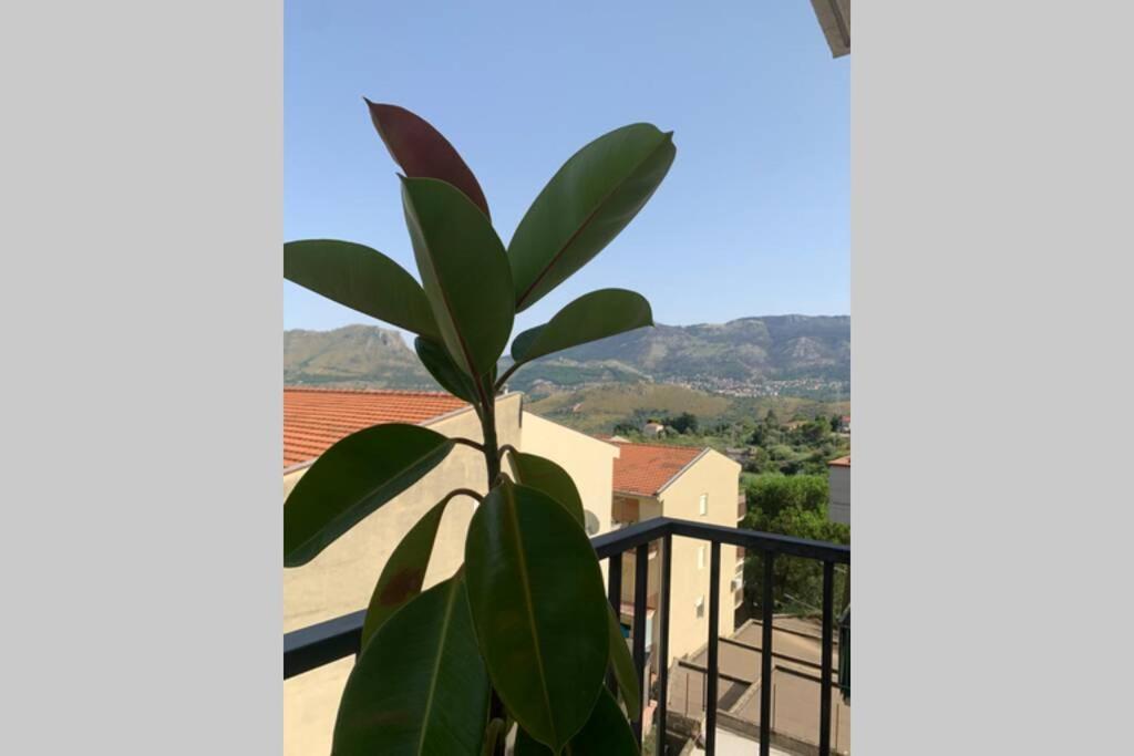 Casa Vacanza - I Mulini Con Parcheggio Gratuito Incluso. Monreale Luaran gambar